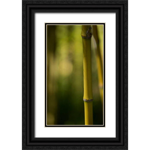 Bamboo Afternoon X Black Ornate Wood Framed Art Print with Double Matting by Crane, Rita