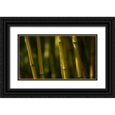 Bamboo Afternoon VI Black Ornate Wood Framed Art Print with Double Matting by Crane, Rita