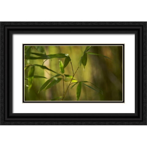 Bamboo Afternoon XI Black Ornate Wood Framed Art Print with Double Matting by Crane, Rita