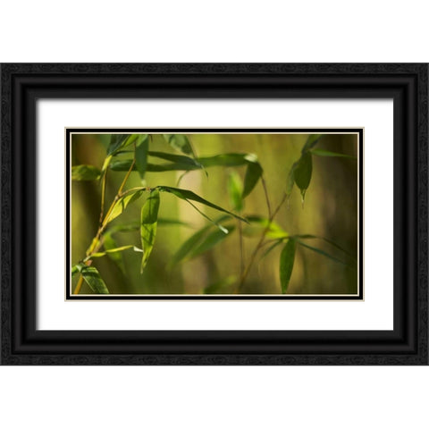 Bamboo Afternoon XII Black Ornate Wood Framed Art Print with Double Matting by Crane, Rita