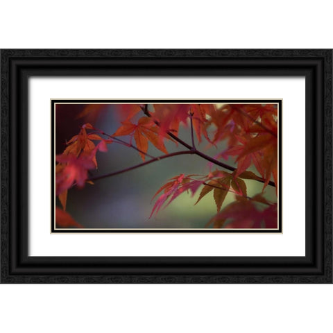 Sunlight Maple II Black Ornate Wood Framed Art Print with Double Matting by Crane, Rita