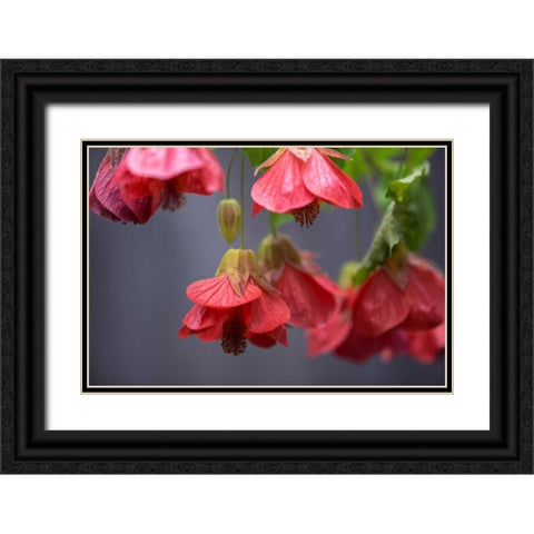 Chinese Lantern II Black Ornate Wood Framed Art Print with Double Matting by Crane, Rita