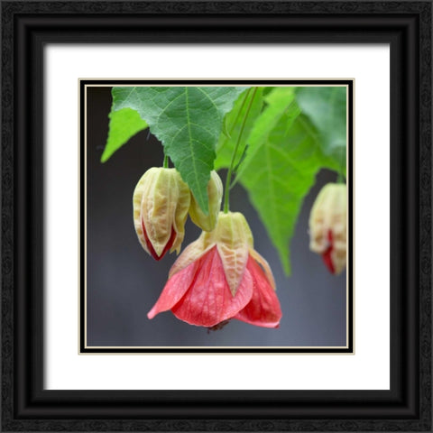 Chinese Lantern IV Black Ornate Wood Framed Art Print with Double Matting by Crane, Rita