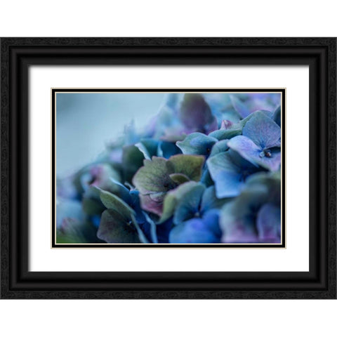 Autumn Hydrangea IV Black Ornate Wood Framed Art Print with Double Matting by Crane, Rita