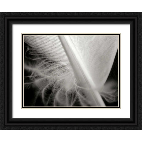 Feather I Black Ornate Wood Framed Art Print with Double Matting by Christensen, Jim