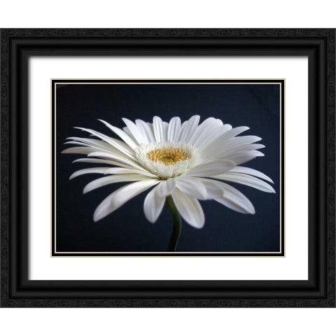 Gerber Angle I Black Ornate Wood Framed Art Print with Double Matting by Christensen, Jim