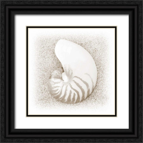 In the Sand III Black Ornate Wood Framed Art Print with Double Matting by Christensen, Jim