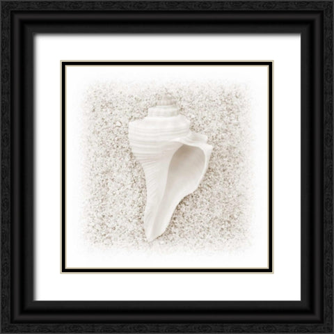 In the Sand IV Black Ornate Wood Framed Art Print with Double Matting by Christensen, Jim