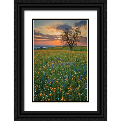 Bear Mountain Black Ornate Wood Framed Art Print with Double Matting by Geistweite, Mark