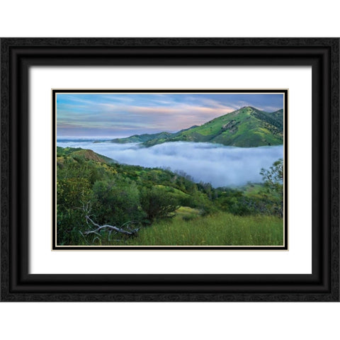 Figueroa Black Ornate Wood Framed Art Print with Double Matting by Geistweite, Mark