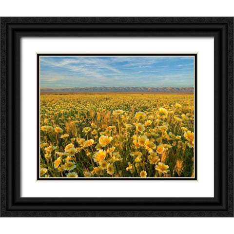 Carrizo I Black Ornate Wood Framed Art Print with Double Matting by Geistweite, Mark