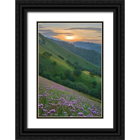 Caliente Bodfish I Black Ornate Wood Framed Art Print with Double Matting by Geistweite, Mark
