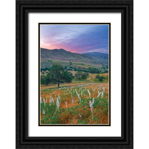 Caliente Bodfish II Black Ornate Wood Framed Art Print with Double Matting by Geistweite, Mark