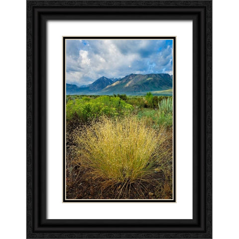 Eastern Sierra IV Black Ornate Wood Framed Art Print with Double Matting by Geistweite, Mark