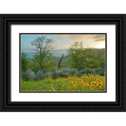 Caliente Spring II Black Ornate Wood Framed Art Print with Double Matting by Geistweite, Mark