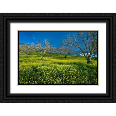 Mustard Factory I Black Ornate Wood Framed Art Print with Double Matting by Geistweite, Mark