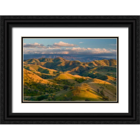 Passing Spring Black Ornate Wood Framed Art Print with Double Matting by Geistweite, Mark