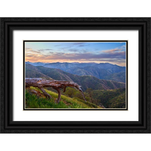 Pastel in Nature I Black Ornate Wood Framed Art Print with Double Matting by Geistweite, Mark