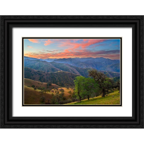 Pastel in Nature II Black Ornate Wood Framed Art Print with Double Matting by Geistweite, Mark