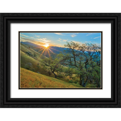 Spring Sunburst I Black Ornate Wood Framed Art Print with Double Matting by Geistweite, Mark