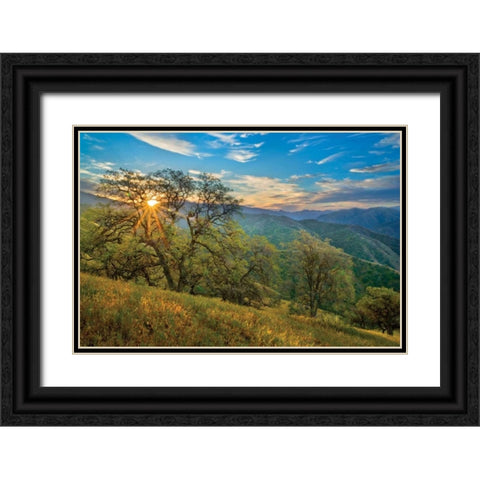 Spring Sunburst II Black Ornate Wood Framed Art Print with Double Matting by Geistweite, Mark