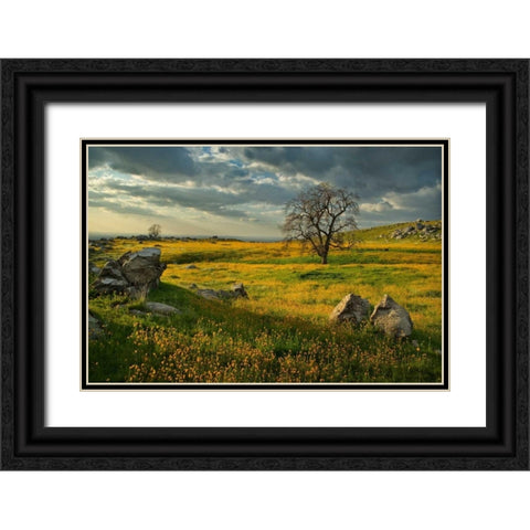 Summer Sun Black Ornate Wood Framed Art Print with Double Matting by Geistweite, Mark