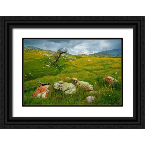 Trail Northward Black Ornate Wood Framed Art Print with Double Matting by Geistweite, Mark