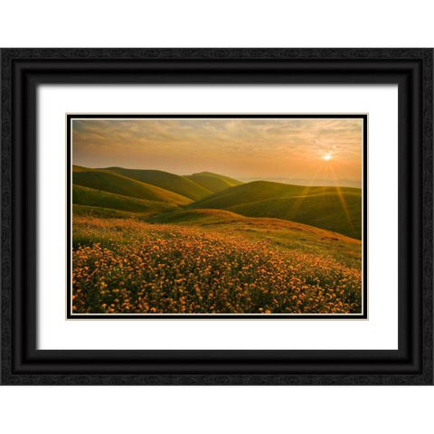 Spring Riot I Black Ornate Wood Framed Art Print with Double Matting by Geistweite, Mark