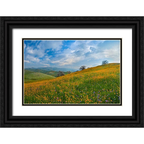 Sprung I Black Ornate Wood Framed Art Print with Double Matting by Geistweite, Mark