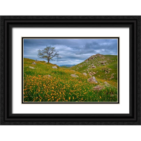 Sprung II Black Ornate Wood Framed Art Print with Double Matting by Geistweite, Mark