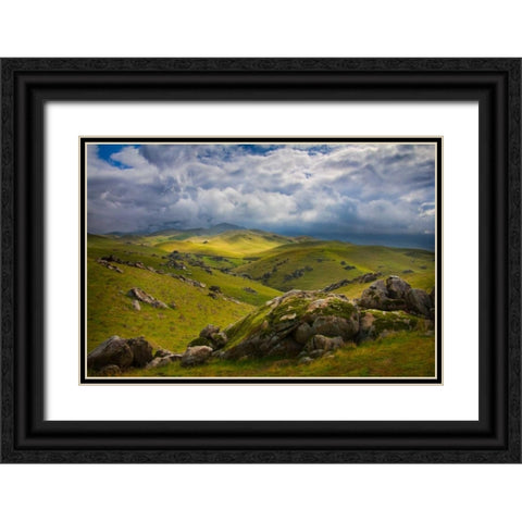 Transience I Black Ornate Wood Framed Art Print with Double Matting by Geistweite, Mark