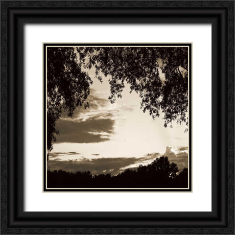 Sunset Trees Sepia Sq II Black Ornate Wood Framed Art Print with Double Matting by Hausenflock, Alan