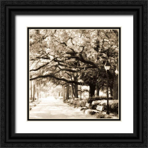 Savannah Sepia Sq I Black Ornate Wood Framed Art Print with Double Matting by Hausenflock, Alan