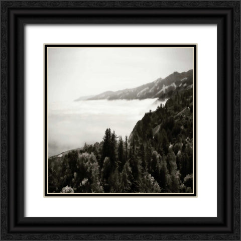 Pacific Fog Sq II Black Ornate Wood Framed Art Print with Double Matting by Hausenflock, Alan