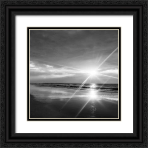 Beauteous Light IV Black Ornate Wood Framed Art Print with Double Matting by Hausenflock, Alan