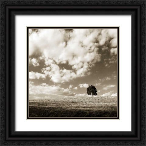 Cloudy Skies Sq I Black Ornate Wood Framed Art Print with Double Matting by Hausenflock, Alan
