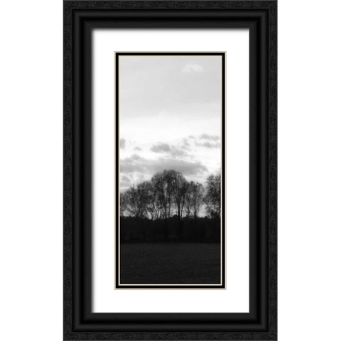 Winter Sunset BW III Black Ornate Wood Framed Art Print with Double Matting by Hausenflock, Alan