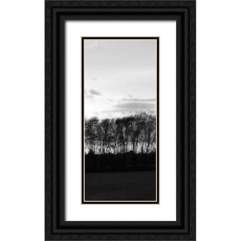 Winter Sunset BW IV Black Ornate Wood Framed Art Print with Double Matting by Hausenflock, Alan