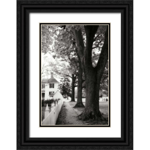 Small Town Autumn IV Black Ornate Wood Framed Art Print with Double Matting by Hausenflock, Alan