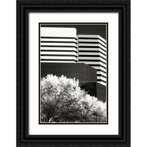 Geometric III Black Ornate Wood Framed Art Print with Double Matting by Hausenflock, Alan