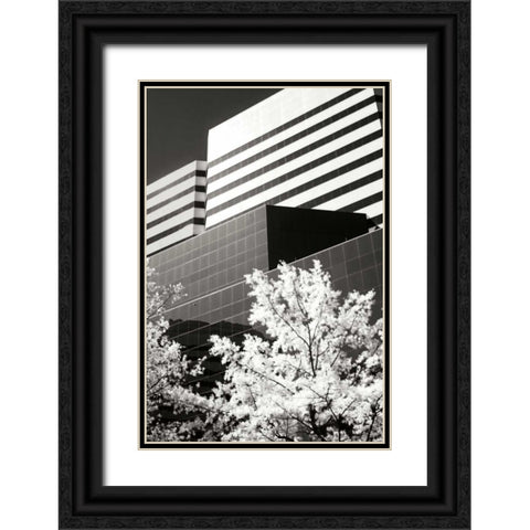 Geometric IV Black Ornate Wood Framed Art Print with Double Matting by Hausenflock, Alan