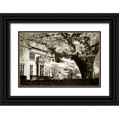 Tudor Mansion I Black Ornate Wood Framed Art Print with Double Matting by Hausenflock, Alan