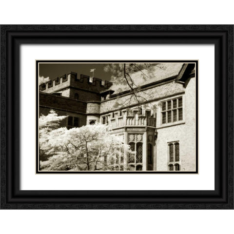 Tudor Mansion II Black Ornate Wood Framed Art Print with Double Matting by Hausenflock, Alan