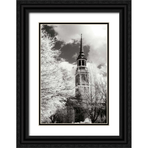 Renewal I Black Ornate Wood Framed Art Print with Double Matting by Hausenflock, Alan