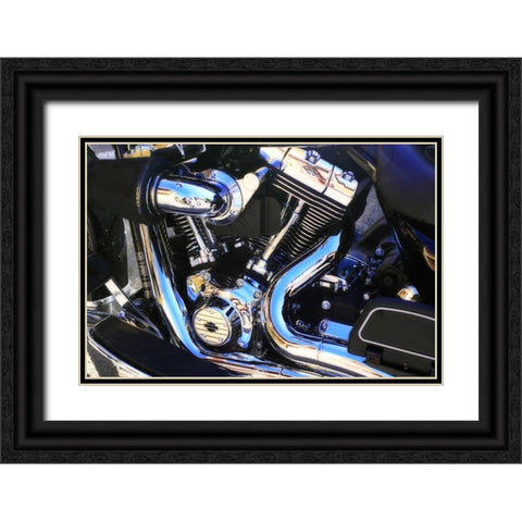 Black Beauty I Black Ornate Wood Framed Art Print with Double Matting by Hausenflock, Alan