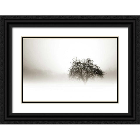 In the Mist I Black Ornate Wood Framed Art Print with Double Matting by Hausenflock, Alan