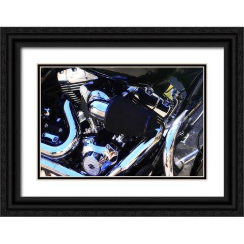 Black Beauty II Black Ornate Wood Framed Art Print with Double Matting by Hausenflock, Alan