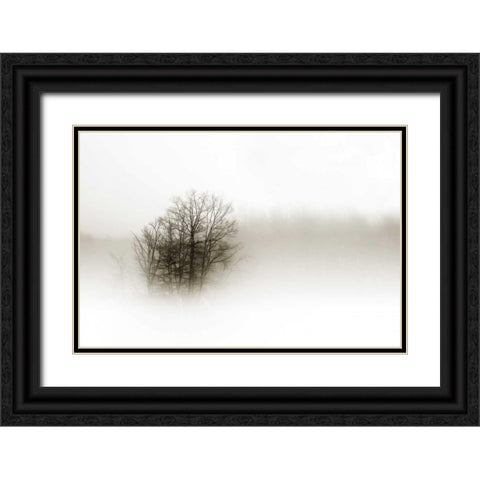 In the Mist II Black Ornate Wood Framed Art Print with Double Matting by Hausenflock, Alan