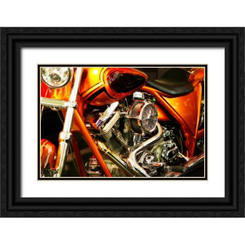 Wild Ride II Black Ornate Wood Framed Art Print with Double Matting by Hausenflock, Alan