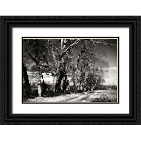 Winter Fields I Black Ornate Wood Framed Art Print with Double Matting by Hausenflock, Alan